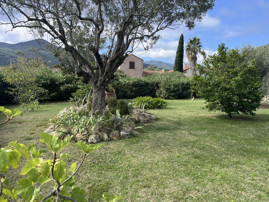Terrain à Bâtir - photo 3