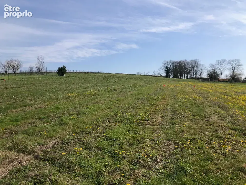 Terrain à SAINT-SAVIN