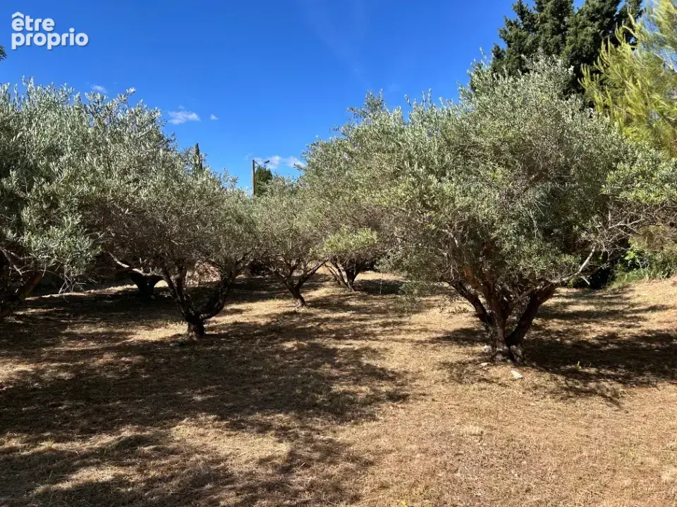Terrain à SAINT-JEAN-DE-FOS