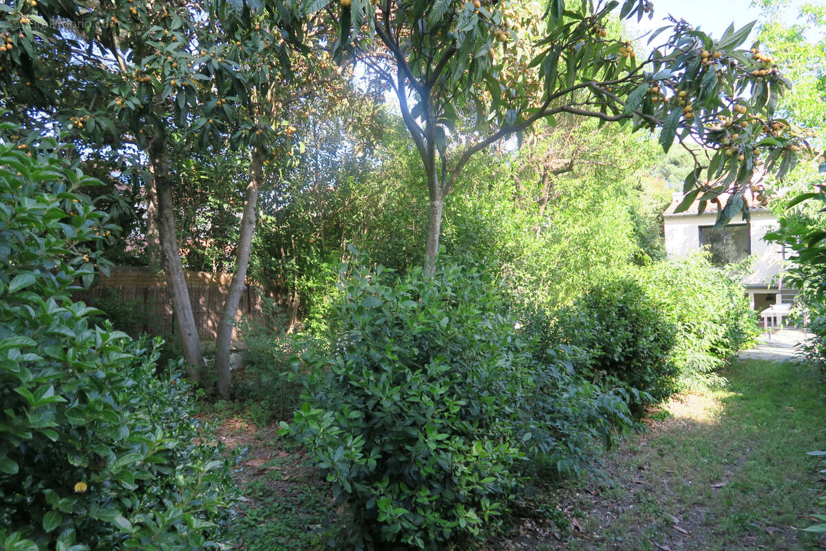 Maison à MONTPELLIER