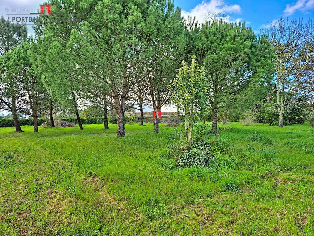 Terrain à AMBARES-ET-LAGRAVE