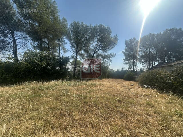 Vente villa 4 pieces montferrier sur lez - photo 3