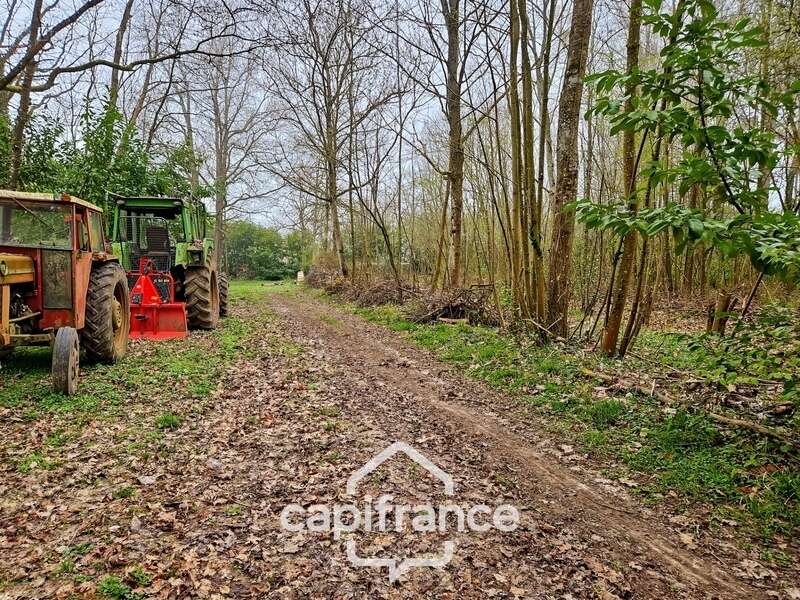 Terrain à LA FERTE-SOUS-JOUARRE
