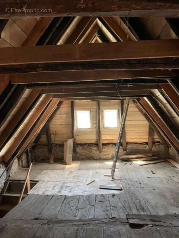 Maison à VIEILLEVIE