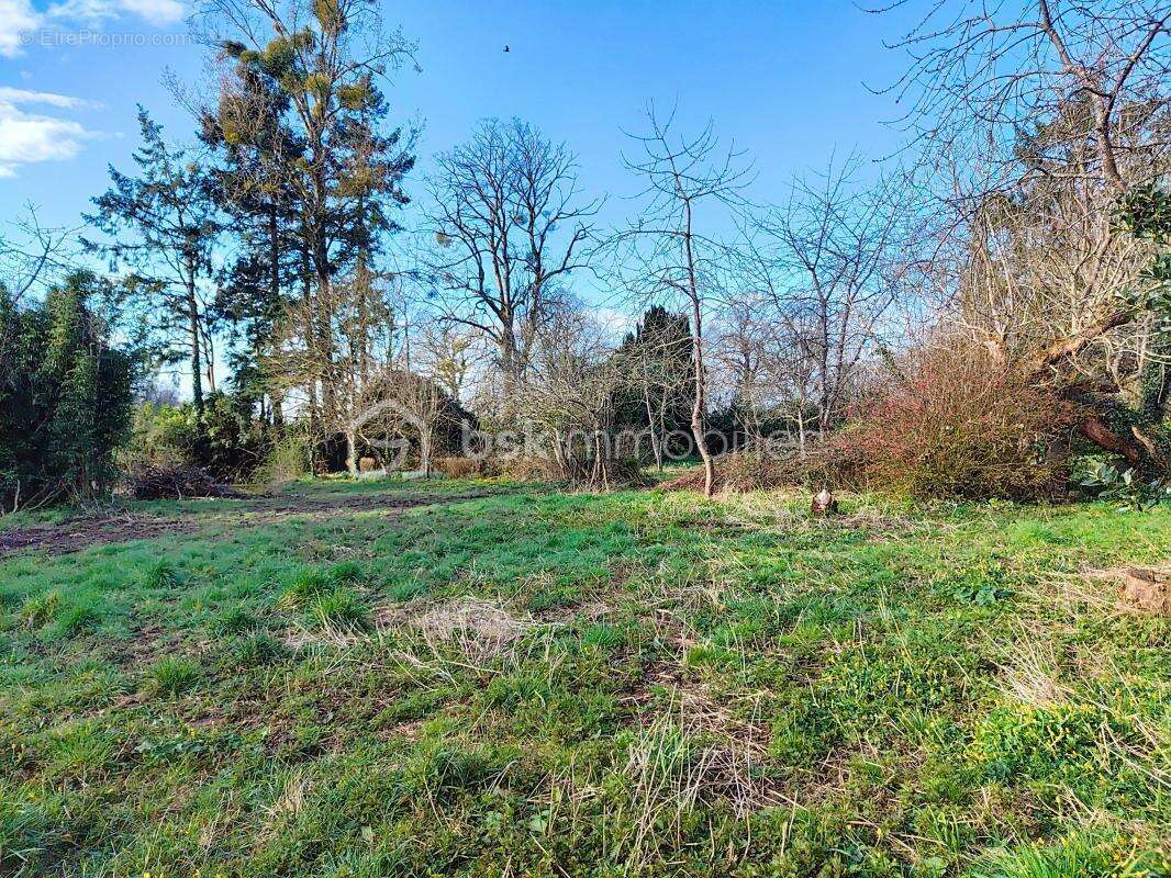 Maison à SAINT-MARC-LE-BLANC