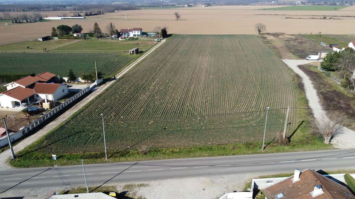 Terrain à BEAUREPAIRE