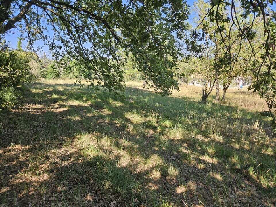 Terrain à ROQUEBRUNE-SUR-ARGENS