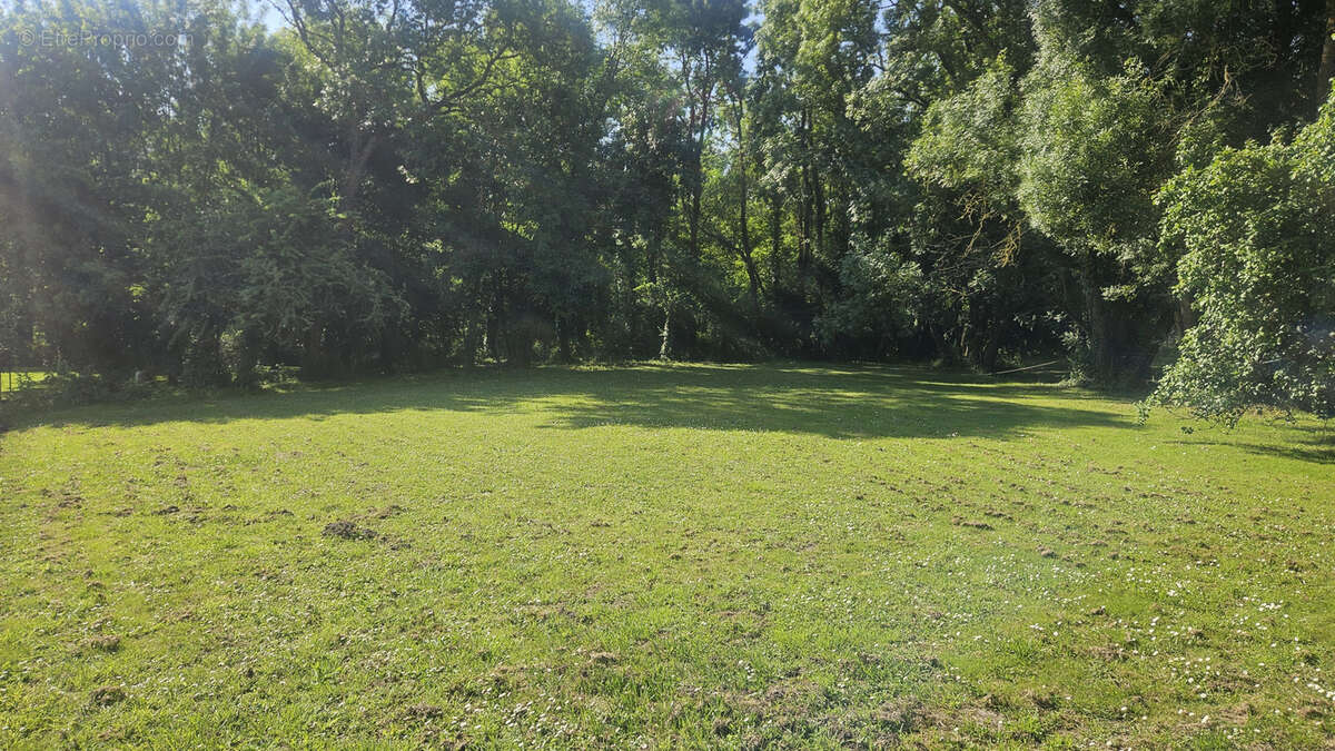 Terrain à NOTRE-DAME-DE-MONTS