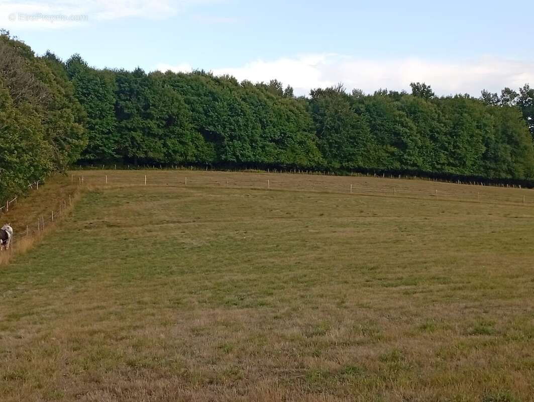 Terrain à LA GENEYTOUSE