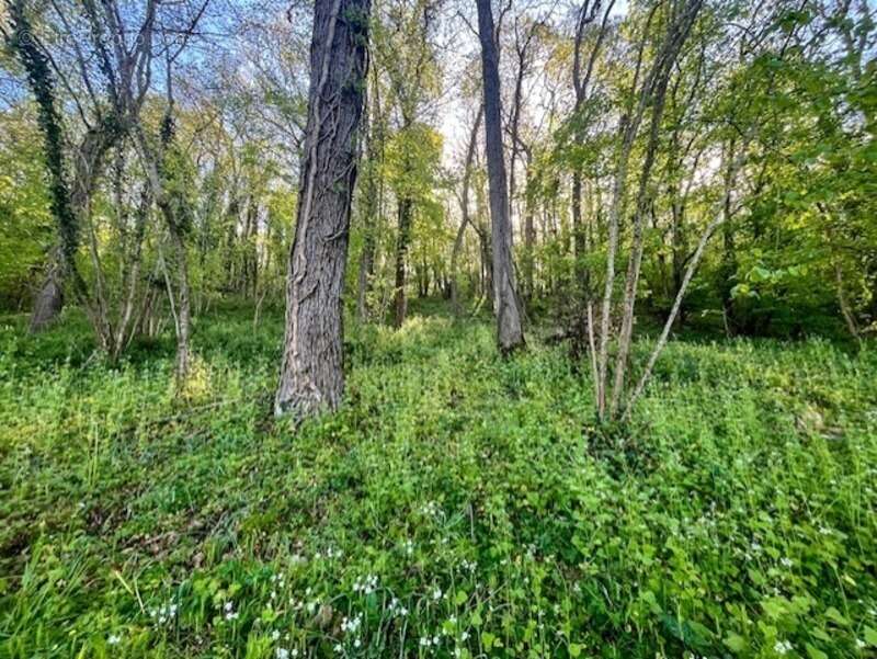 Terrain à AVAILLES-THOUARSAIS