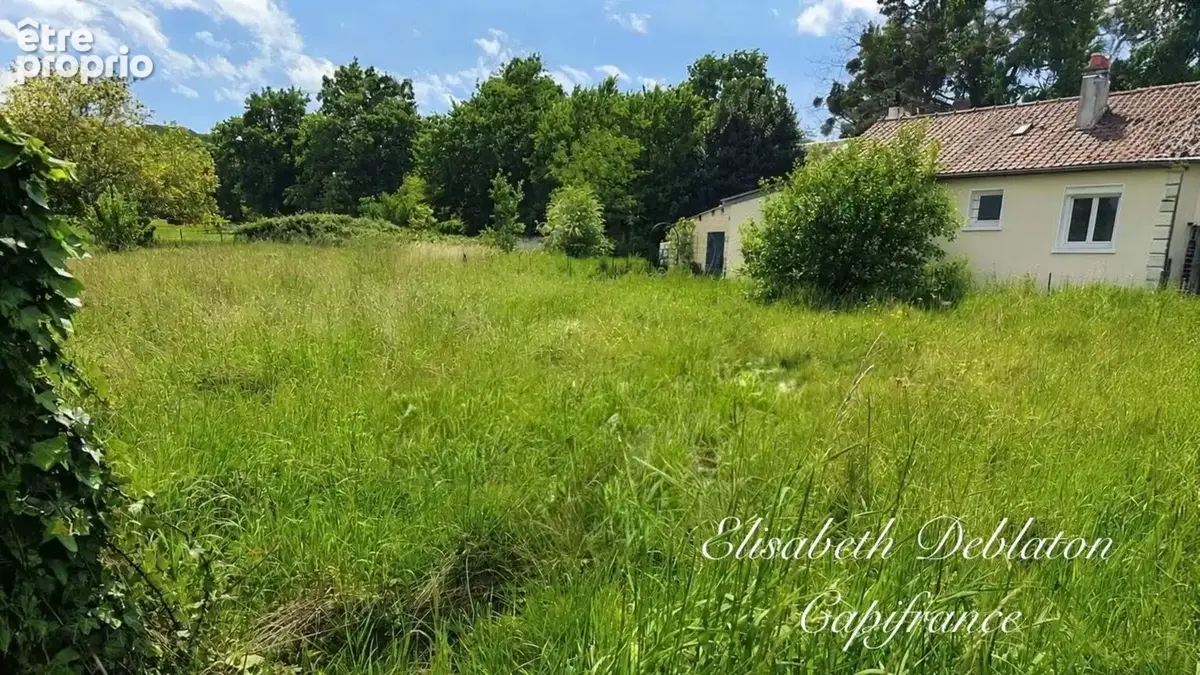 Terrain 1 006 m² – borné – viabilisé pour la vente – cuts (60) - photo 6