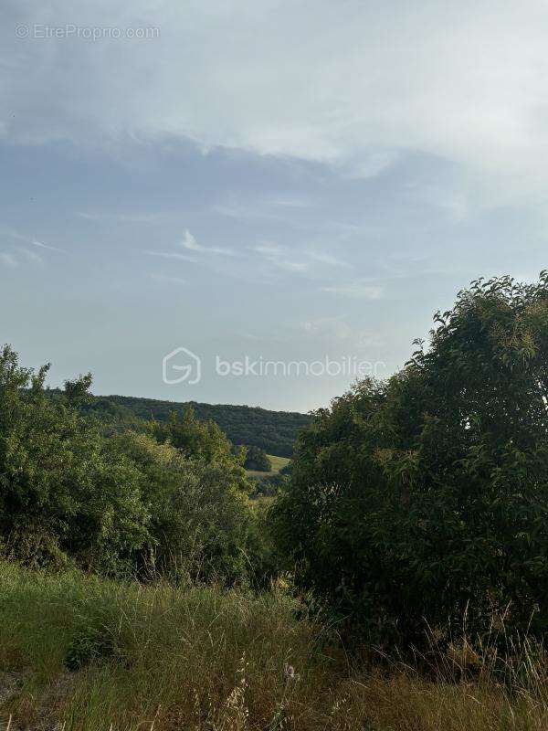 Terrain à AUCH