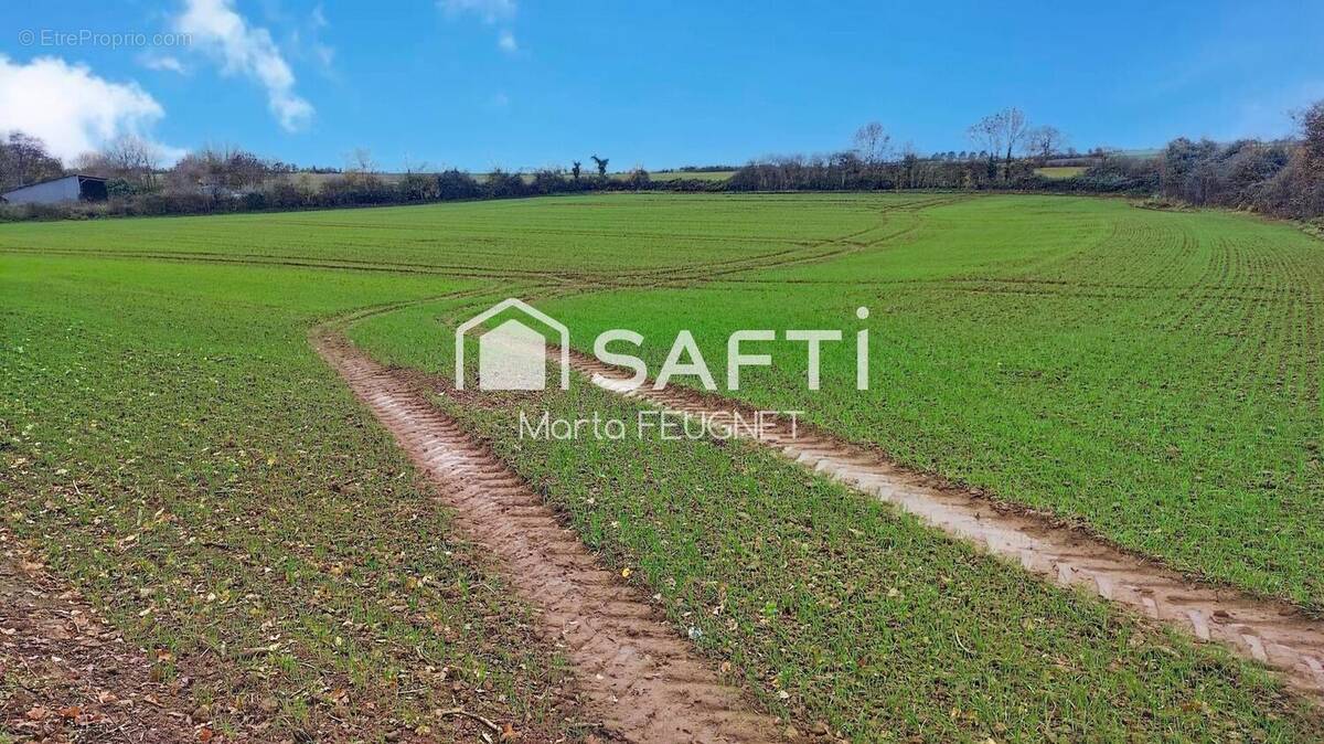 Photo 1 - Terrain à MAREUIL-SUR-LAY-DISSAIS