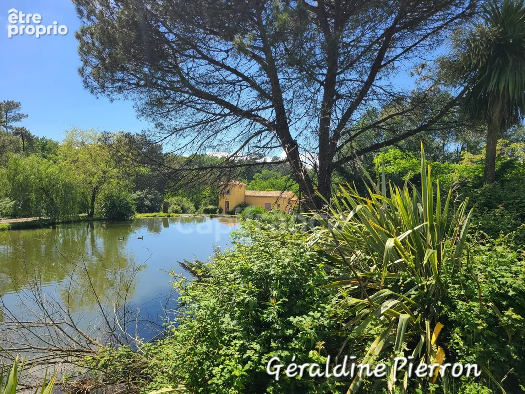 propriété de prestige d’environ 480 m² implantée sur un terrain de 3.4 hectares avec 2 gîtes et chambre d'hôte - photo 21