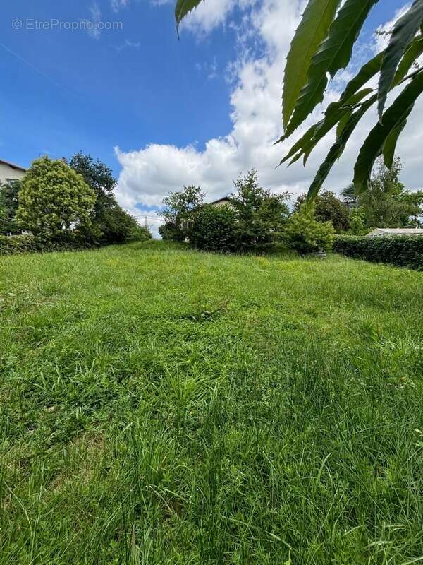 Maison à vendre 4 pièces POYANNE (40) avec jardin et garage - photo 16