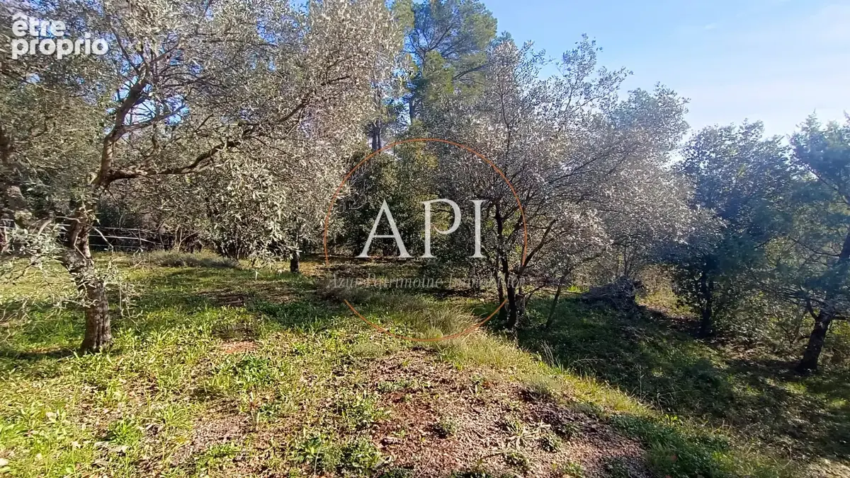 Jolie maison de 130 m2 sur 2800 m2 de terrain à Seillans - photo 4