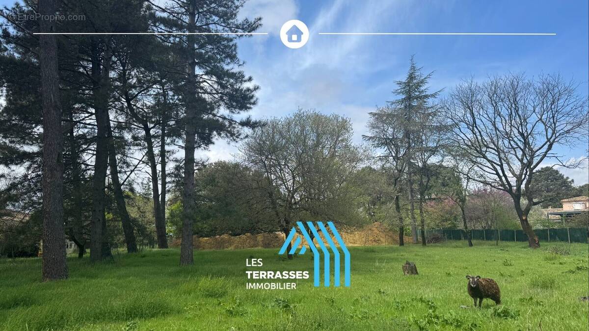 Terrain à MONTELIMAR