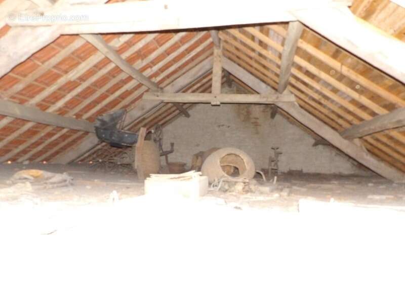 Maison à SAINTE-THERENCE