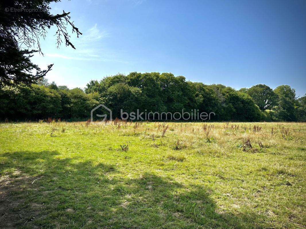 Terrain Constructible Roudouallec - photo 2