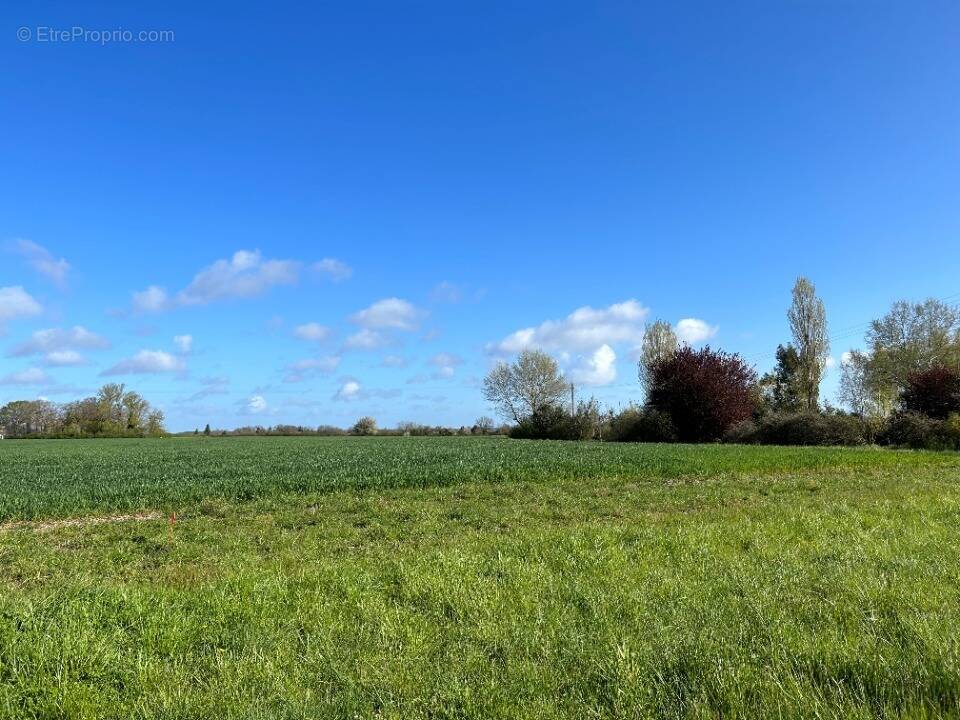 Terrain à SAINTE-MAURE-DE-TOURAINE
