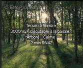 Terrain à CREMAREST