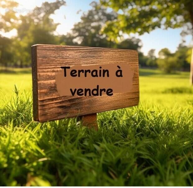 Terrain à SAINTE-CECILE