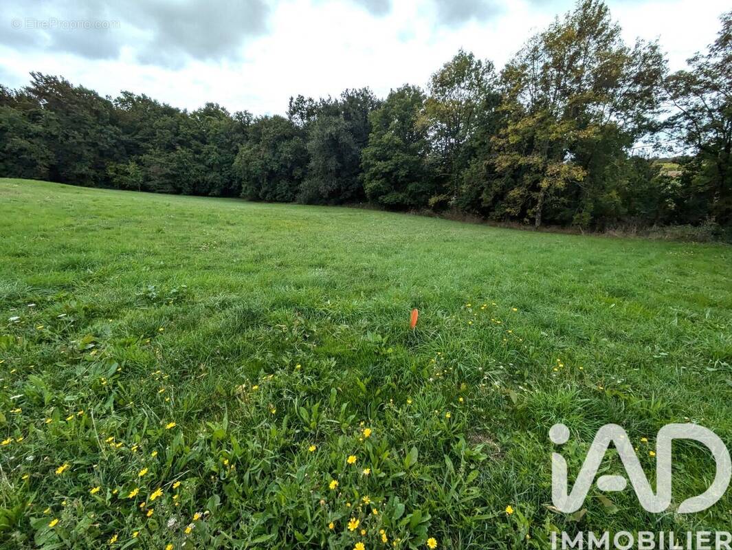 Photo 1 - Terrain à ECOYEUX