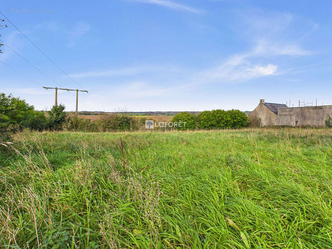 Terrain à SAINT-NIC