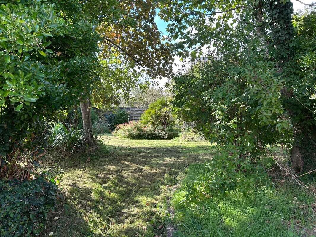 Terrain à SAINT-NAZAIRE