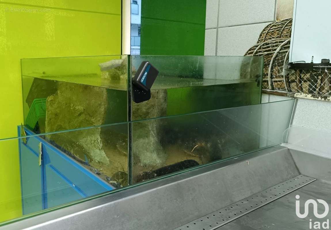 Photo 2 - Commerce à NANTES