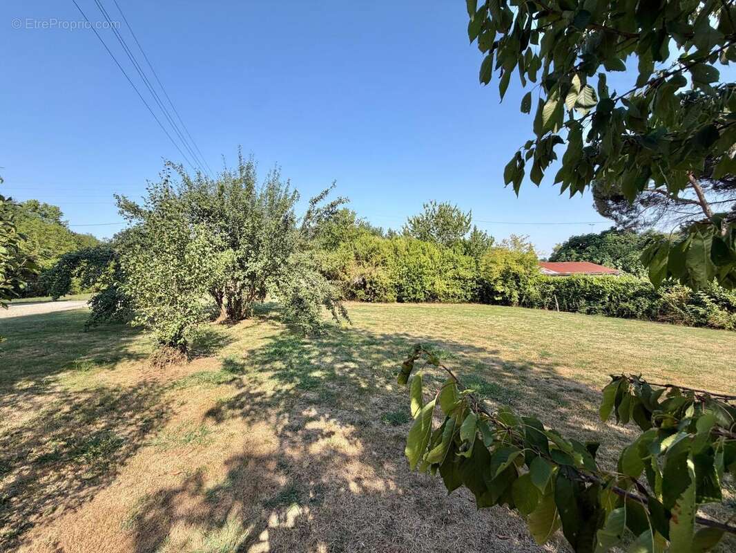 Maison 100 m² à Eauze  - photo 5