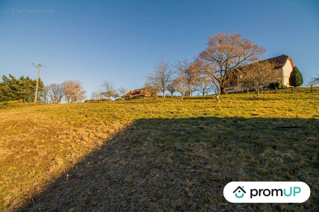 Terrain à SAINTE-FORTUNADE