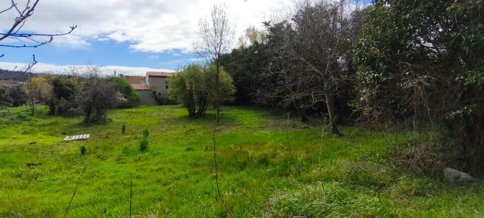 Terrain à MONTELIMAR