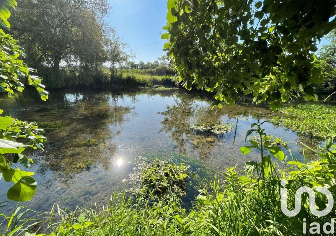 Photo 2 - Maison à ETROCHEY