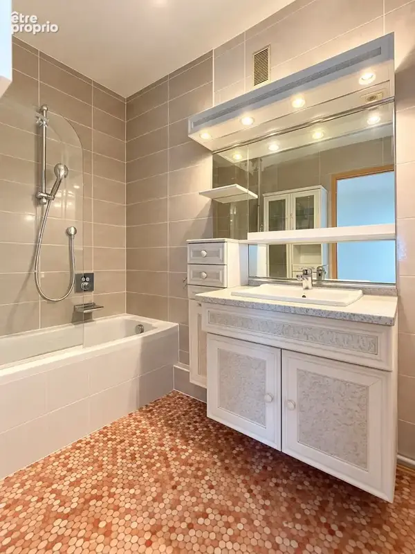 Gaillard   spacieux appartement 4 pièces de 95 m2 en étage élevé - photo 10