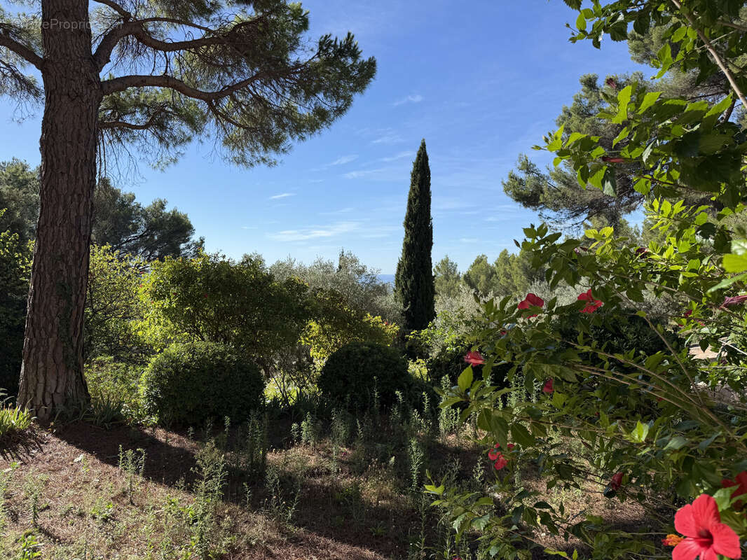 Maison à LA VALETTE-DU-VAR