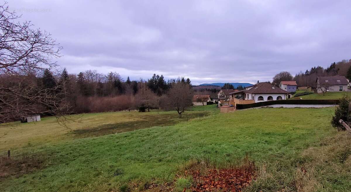 Terrain à MOYENMOUTIER