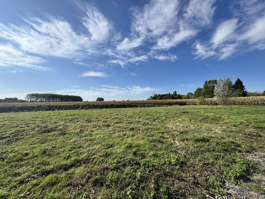 Terrain à ENNEVELIN