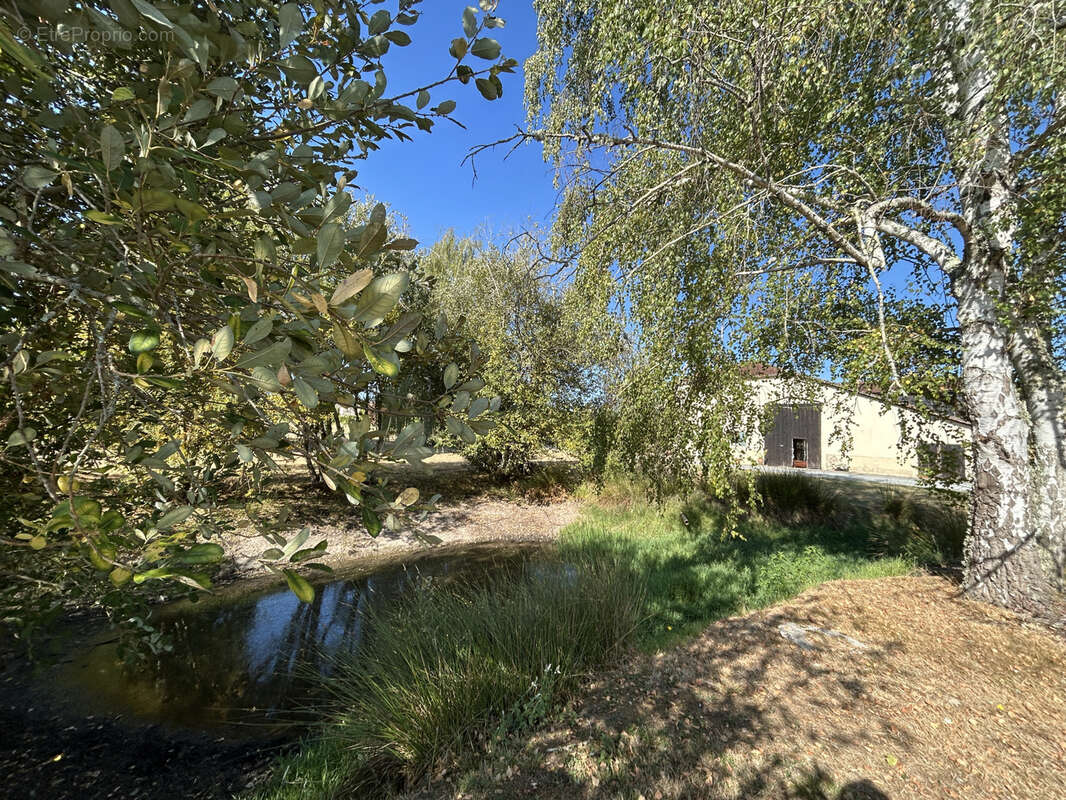 Propriété 2 maisons - dépendances - étang - idéale projet gîte ou professionnel - photo 2