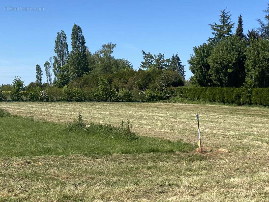 Terrain à CHAMPENARD