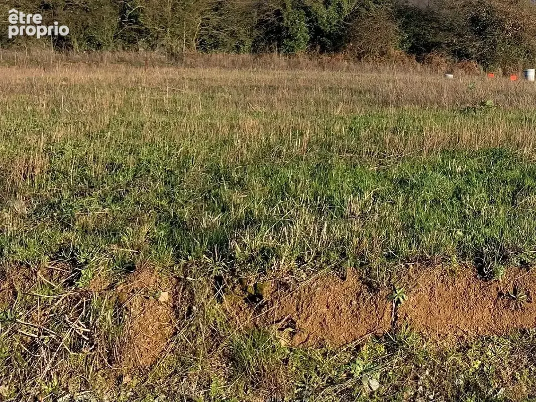 Photo Terrain à Sainte-Pazanne au prix de 116 500€