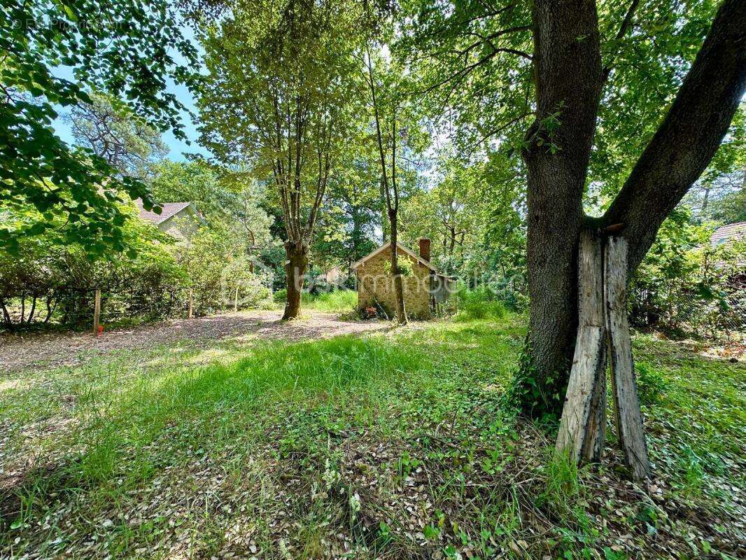 Terrain à SAINT-BREVIN-LES-PINS