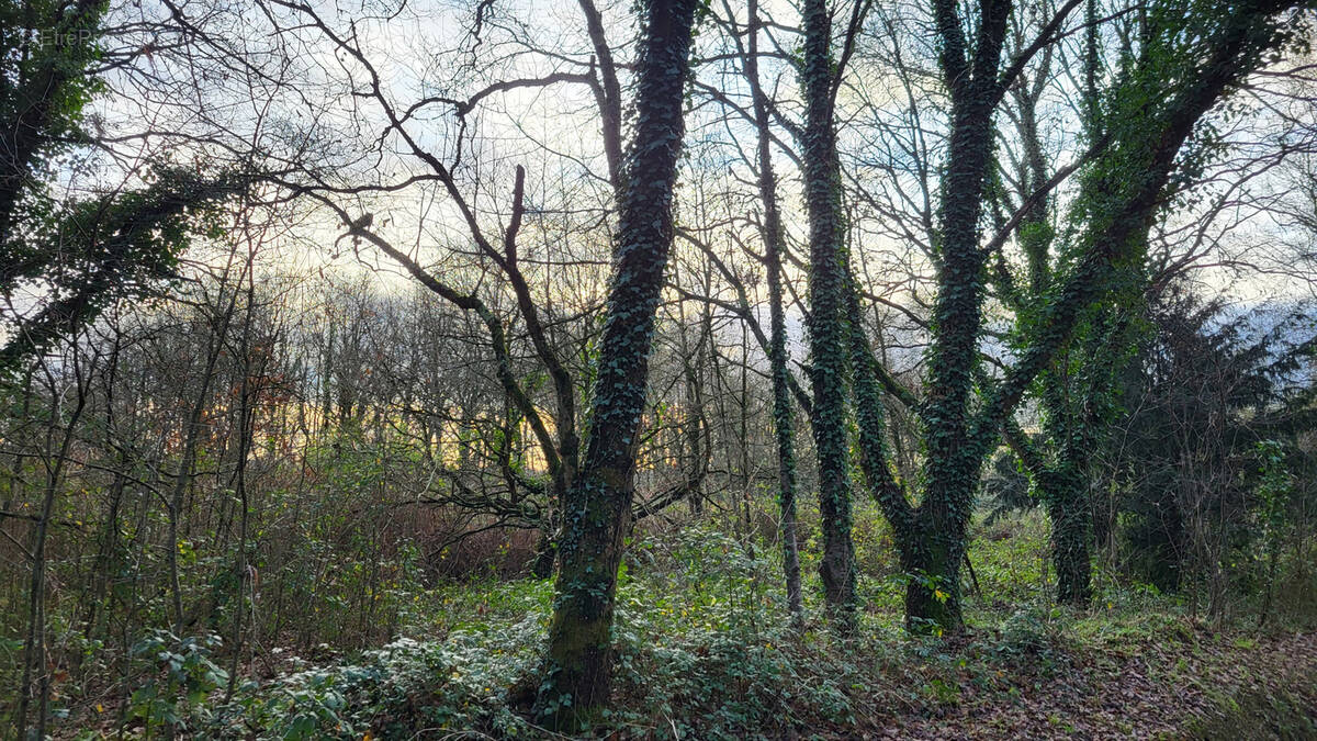 Terrain à SAINT-MARS-LA-JAILLE