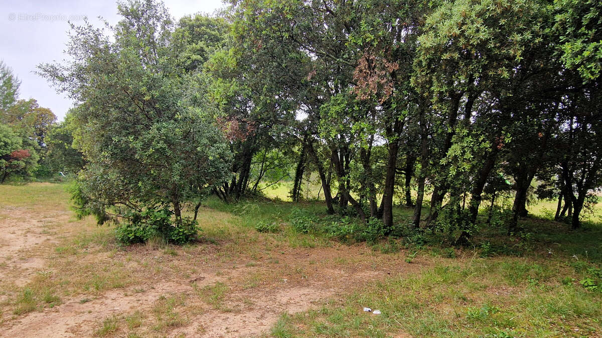 Terrain à LA BOISSIERE