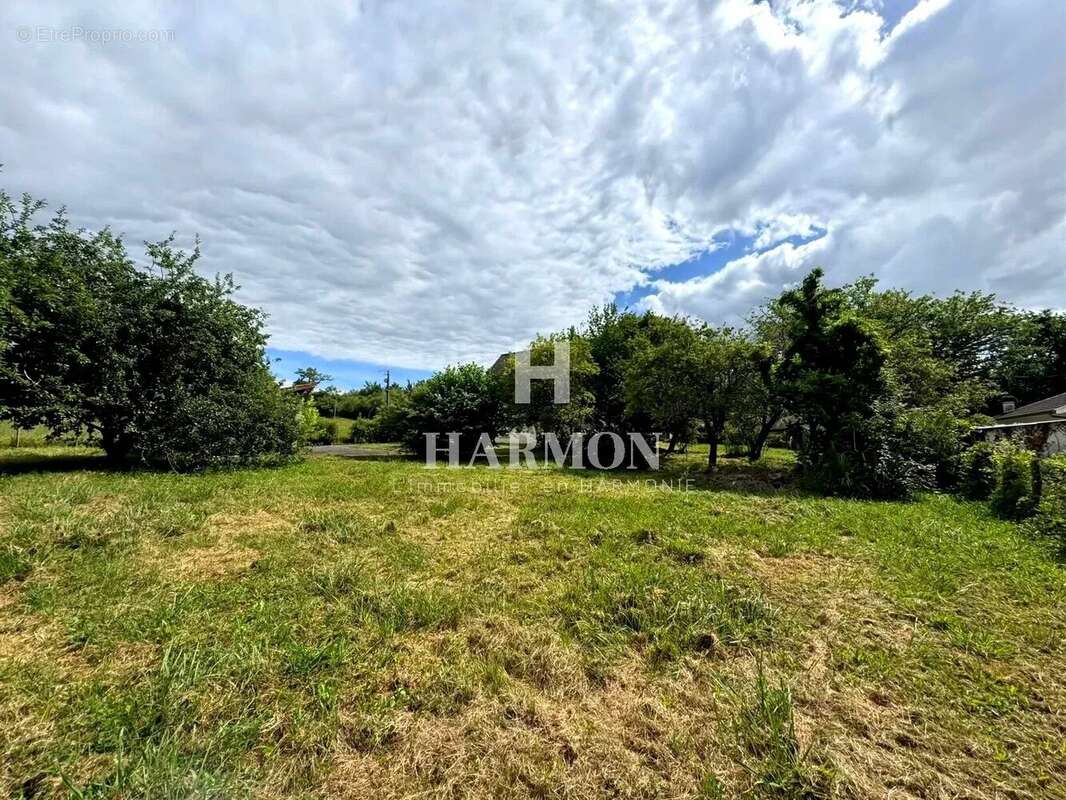 HARMON à vendre - Maison de 130m² sur 1900m² au calme - photo 10