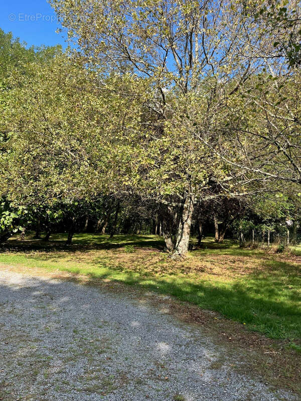 Maison à LIGNAN-DE-BORDEAUX
