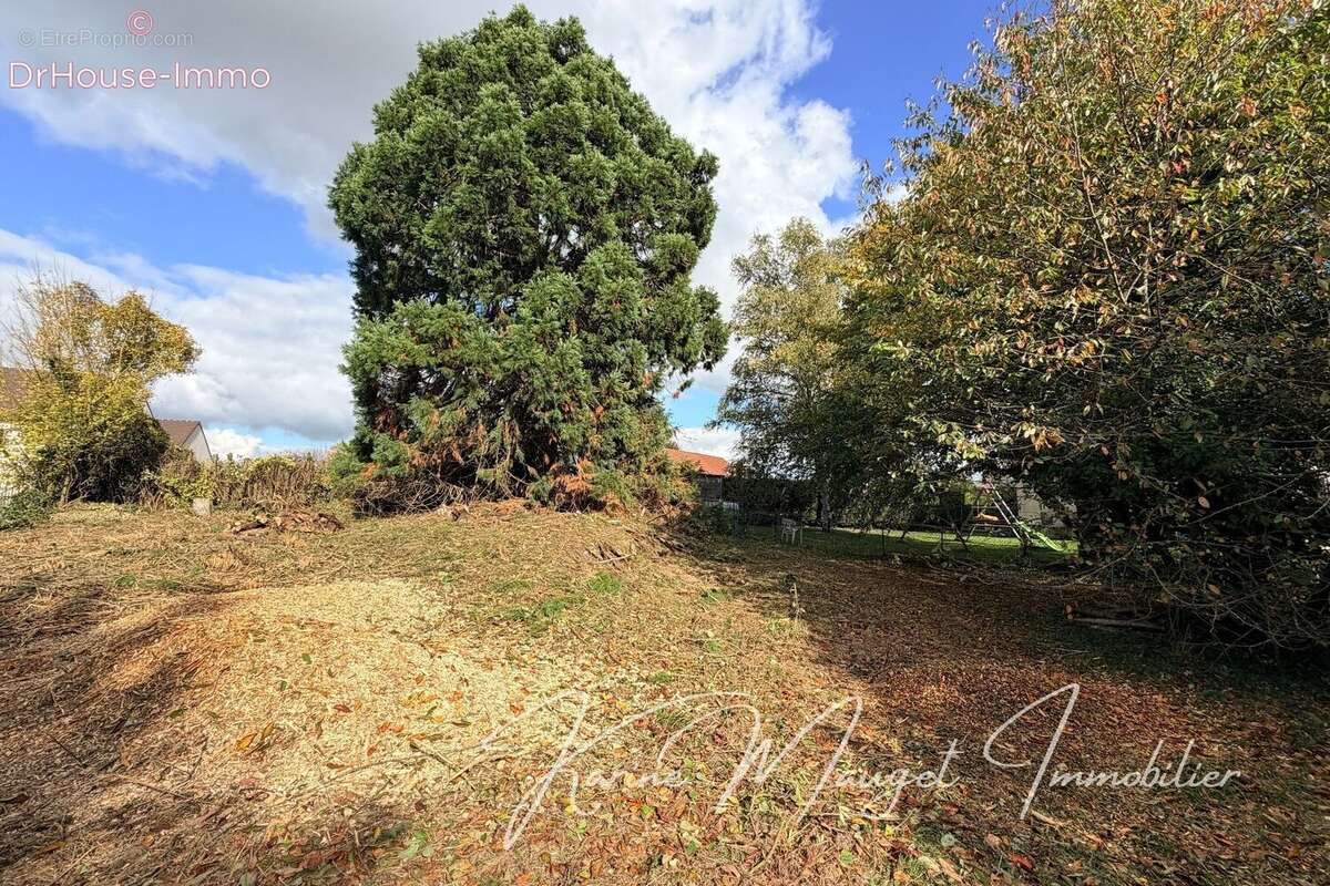 Terrain à LUMIGNY-NESLES-ORMEAUX