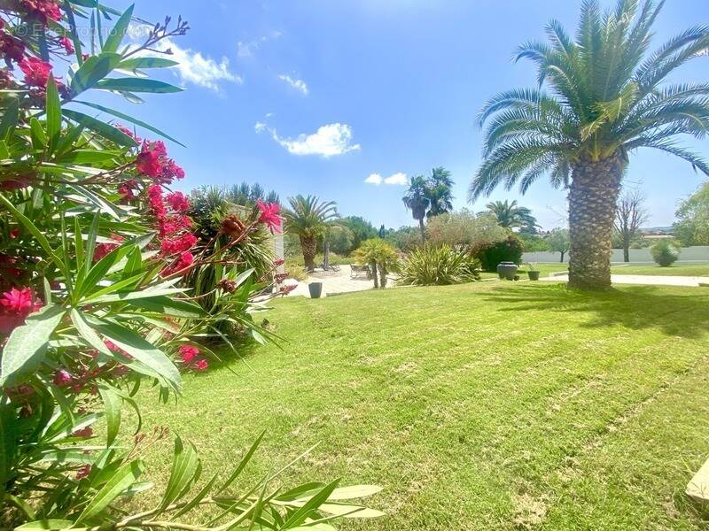 Maison à COURNONTERRAL