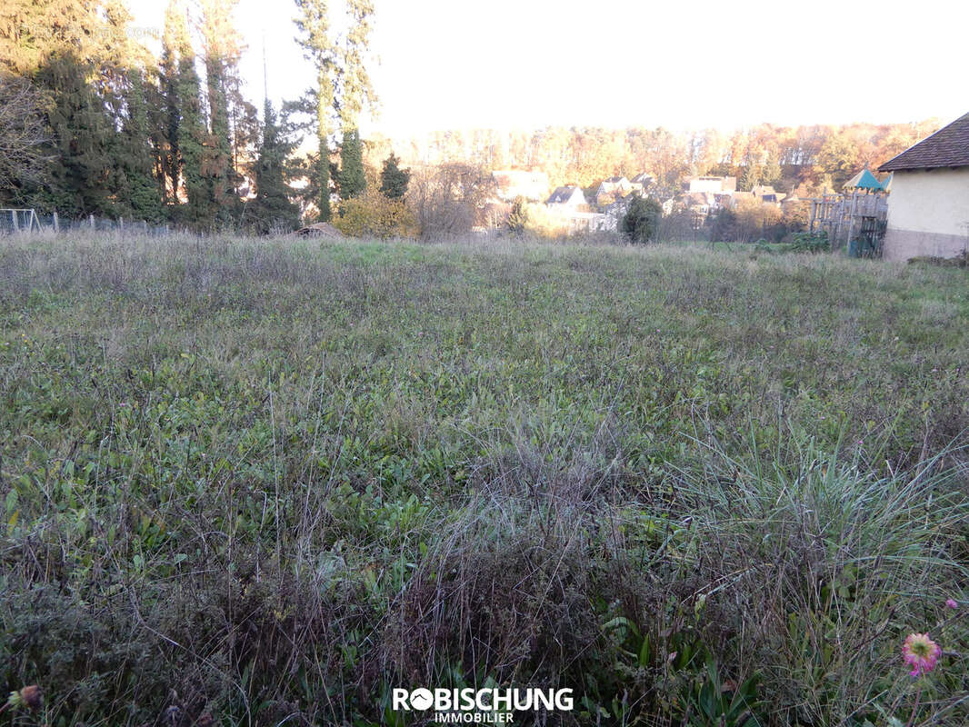 RIESPACH : Terrain hors lotissement - photo 3