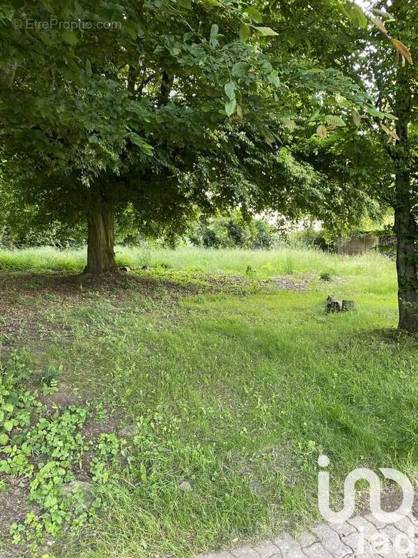 Photo 3 - Maison à CHERY-CHARTREUVE